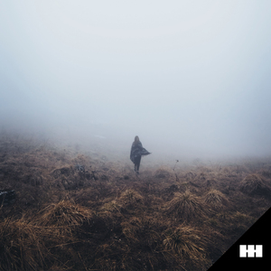 国产在线高清视频一区二区
